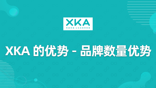 “XKA”的优势-品牌数量优势