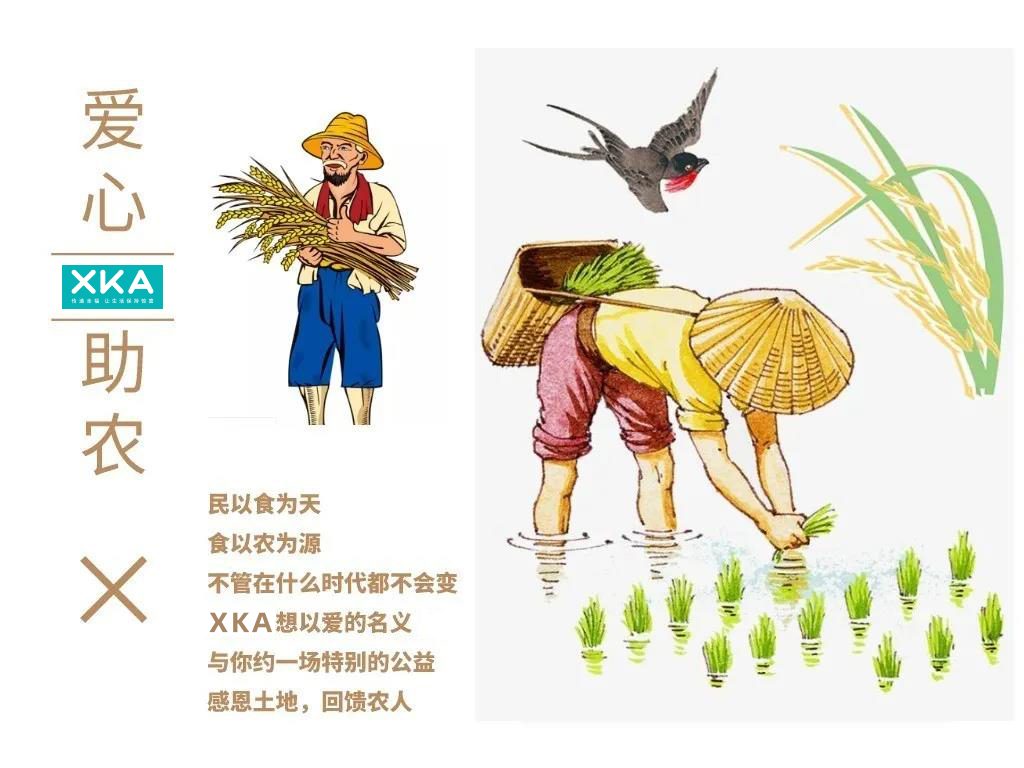 XKA走进上海崇明，开启助农新模式